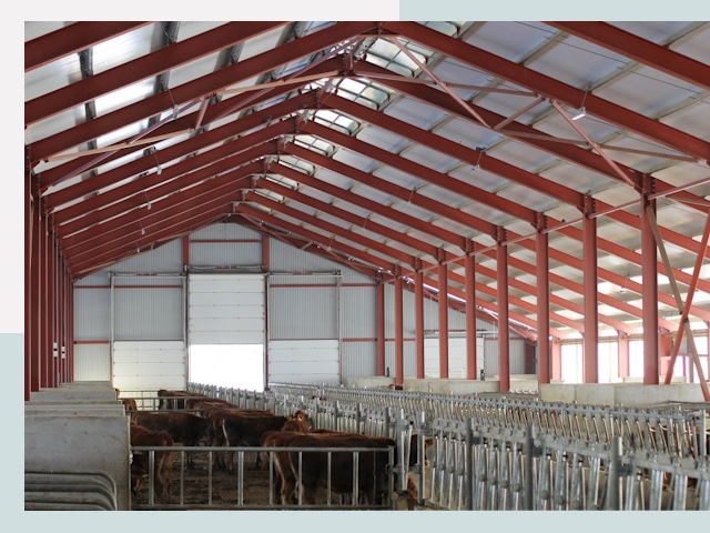 Строительство коровников в Воркуте